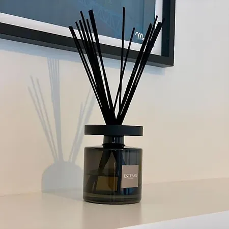 Apartment Superbe T2 - Centre-ville - Gare Toulouse